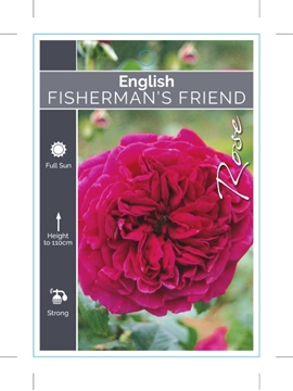 Picture of ROSE FISHERMANS FRIEND (ER)                                                                                                                           