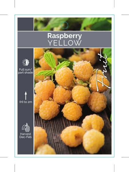 Picture of FRUIT RASPBERRY YELLOW                                                                                                                                