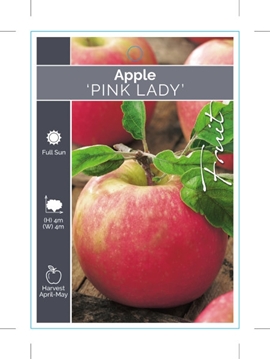 Picture of FRUIT APPLE PINK LADY                                                                                                                                 