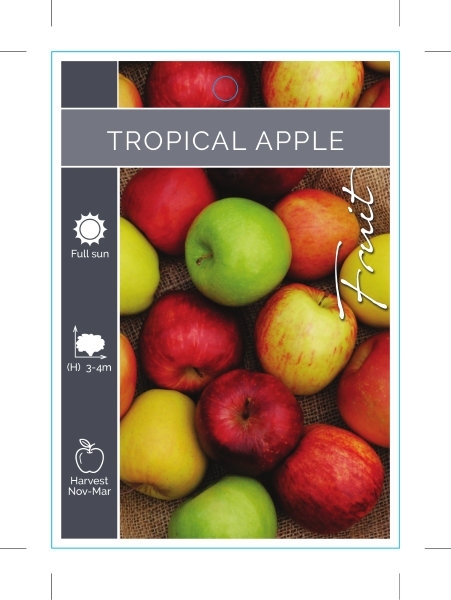 Picture of FRUIT APPLE TROPICAL (TICK BOX)                                                                                                                       