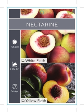 Picture of FRUIT NECTARINE YELLOW OR WHITE FLESH (Tick Box) Jumbo Tag                                                                                            