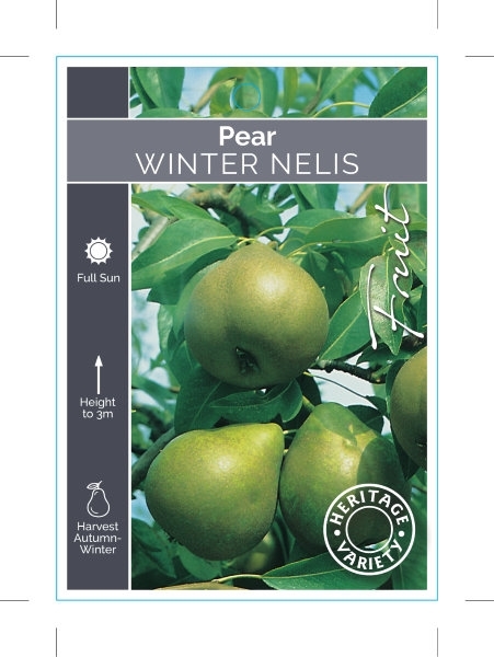 Picture of FRUIT PEAR WINTER NELIS (HERITAGE)                                                                                                                    