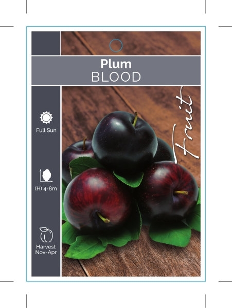 Picture of FRUIT PLUM BLOOD RED FLESH (UNNAMED VARIETY)                                                                                                          
