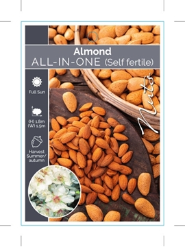Picture of NUT ALMOND ALL IN ONE (Self fertile)                                                                                                                  