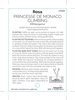 Picture of ROSE PRINCESSE DE MONACO CLIMBING                                                                                                                     