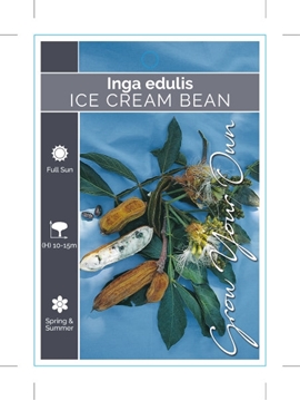 Picture of INGA EDULIS ICE CREAM BEAN                                                                                                                            