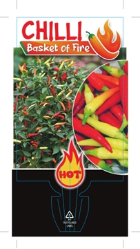 Picture of CHILLI BASKET OF FIRE                                                                                                                                 