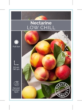 Picture of FRUIT NECTARINE LOW CHILL (HERITAGE) (TICK BOX)                                                                                                       