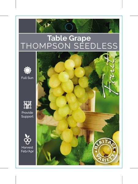 Picture of FRUIT GRAPE TABLE THOMPSON SEEDLESS (HERITAGE)                                                                                                        