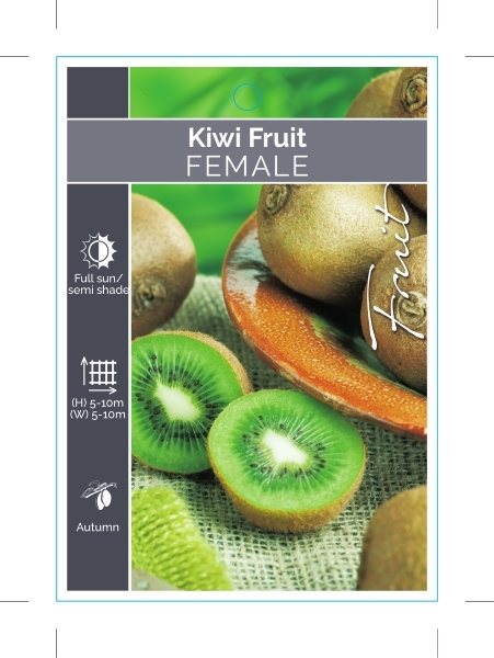 Picture of FRUIT KIWI FRUIT FEMALE (UNNAMED VARIETY)                                                                                                             