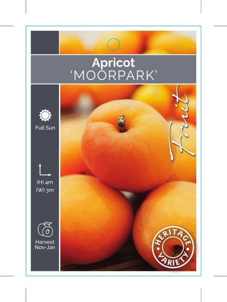 Picture of FRUIT APRICOT MOORPARK (HERITAGE)                                                                                                                     
