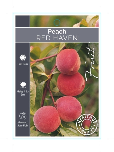 Picture of FRUIT PEACH RED HAVEN (HERITAGE)                                                                                                                      