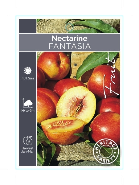 Picture of FRUIT NECTARINE FANTASIA (HERITAGE)                                                                                                                   