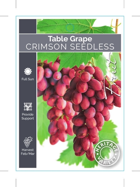 Picture of **FRUIT GRAPE TABLE CRIMSON SEEDLESS (HERITAGE)                                                                                                       