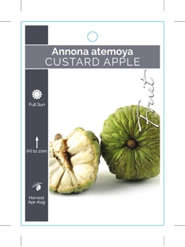 Picture of FRUIT CUSTARD APPLE ANNONA ATEMOYA (TICK BOX)                                                                                                         