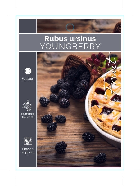 Picture of FRUIT YOUNGBERRY                                                                                                                                      