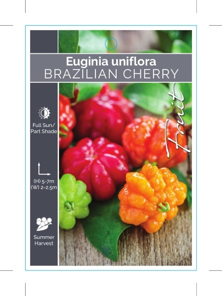 Picture of FRUIT BRAZILIAN CHERRY EUGENIA UNIFLORA                                                                                                               
