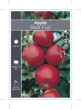 Picture of FRUIT APPLE RED FUJI                                                                                                                                  