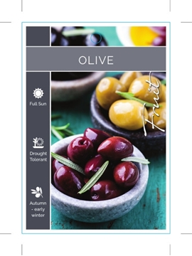 Picture of FRUIT OLIVE (TICK BOXES)                                                                                                                              