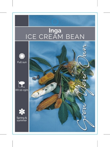 Picture of INGA EDULIS ICE CREAM BEAN                                                                                                                            