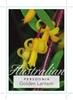 Picture of PERSOONIA GOLDEN LANTERN