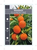 Picture of FRUIT CITRUS MANDARIN CLEMENTINE                                                                                                                      