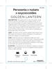 Picture of PERSOONIA GOLDEN LANTERN