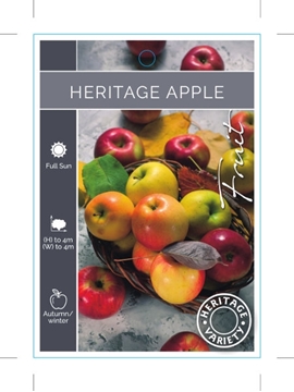 Picture of FRUIT APPLE HERITAGE                                                                                                                                  