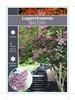 Picture of LAGERSTROEMIA BILOXI Jumbo Tag                                                                                                                        