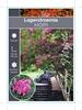 Picture of LAGERSTROEMIA HOPI Jumbo Tag                                                                                                                          