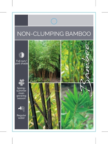 Picture of BAMBOO NON CLUMPING (MIXED PICTURE)                                                                                                                   