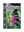 Picture of EREMOPHILA MACULATA PURPLE FORM                                                                                                                       