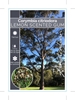 Picture of CORYMBIA CITRIODORA LEMON SCENTED GUM                                                                                                                 
