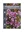 Picture of THRYPTOMENE SAXICOLA PINK LACE