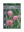 Picture of GREVILLEA FROSTY PINK                                                                                                                                 