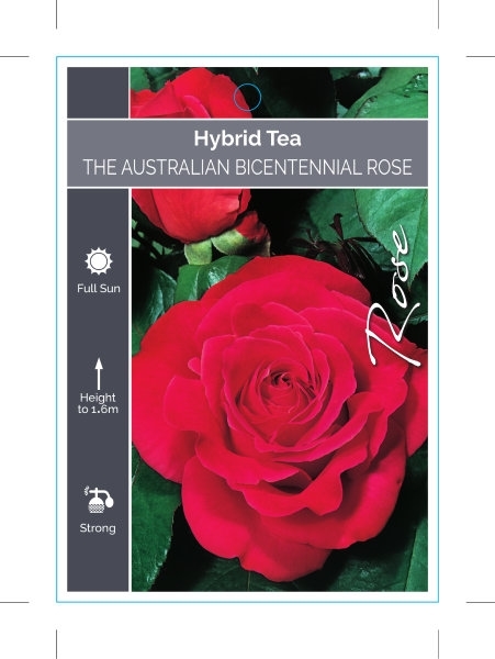 Picture of ROSE THE AUSTRALIAN BICENTIANNIAL ROSE (HT)