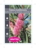 Picture of HAKEA MULTILINEATA GRAFTED                                                                                                                            