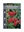 Picture of CALLISTEMON CITRINUS SPLENDENS SYN ENDEAVOUR                                                                                                             