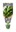 Picture of HERB BAY LEAF (Laurus nobilis)                                                                                                                        