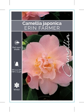 Picture of CAMELLIA ERIN FARMER                                                                                                                                  