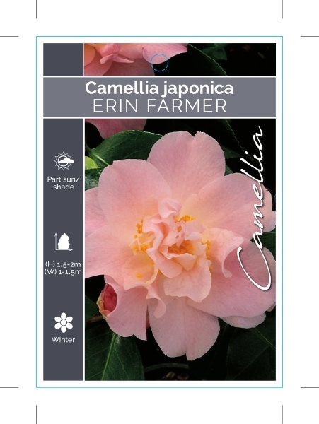 Picture of CAMELLIA ERIN FARMER                                                                                                                                  