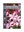 Picture of PHILOTHECA BUXIFOLIA CASCADE OF STARS                                                                                                                 