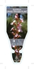 Picture of STYLIDIUM GRAMINIFOLIUM GRASS TRIGGER PLANT                                                                                                           