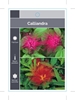 Picture of CALLIANDRA MIXED PICTURE (TICK BOXES)