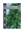 Picture of POPULUS DELTOIDES COTTONWOOD OR NECKLACE                                                                                                              
