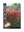 Picture of PHOTINIA FRASERI ROBUSTA                                                                                                                              