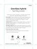 Picture of GREVILLEA SID REYNOLDS                                                                                                                                