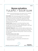 Picture of NYSSA SYLVATICA TUPELO / SOUR GUM                                                                                                                     