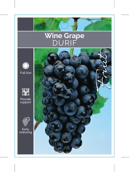 Picture of FRUIT GRAPE WINE DURIF