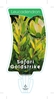 Picture of LEUCADENDRON SAFARI GOLDSTRIKE
